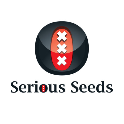 Serious 6 Regulérní
